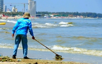Nước biển Vũng Tàu đổi màu xanh, tím: Ghi nhận 69 loài thuộc 3 ngành tảo trong mẫu nước