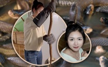 Cô gái Trung Quốc về quê nuôi hơn 60.000 con rắn độc, thu nhập hơn 3,8 tỉ đồng mỗi năm