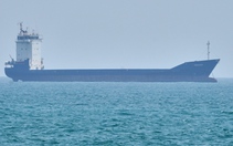 Iran tuyên bố bắt giữ 2 tàu cố vượt qua eo biển Hormuz