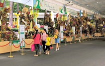 Suối Tiên, Đầm Sen và loạt khu du lịch TP.HCM lên phương án giảm giá vé dịp Giỗ Tổ, lễ 30-4