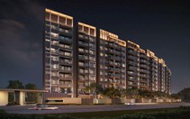 Orchard Collection - mảnh ghép cao cấp hoàn thiện bức tranh Sycamore