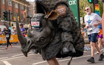 Những kỷ lục hài hước đến... khó tin ở London Marathon 2026