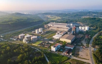 Nhà máy nhiên liệu sinh học Dung Quất sắp chạy tối đa, sẵn nguồn cho xăng E10