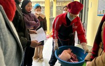 Vụ thịt lợn trong bữa ăn bán trú nhiễm tả châu Phi: Đình chỉ hiệu trưởng trường mầm non