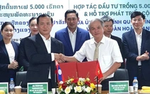 Hoàng Anh Gia Lai đầu tư 5.000ha cà phê tại Lào