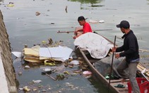 Người ném vỏ chai bia xuống sông Kẻ Vạn ở Huế phải tự thuê ghe đi vớt lên lại