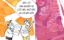 'Hạ cốt nền' giá cả