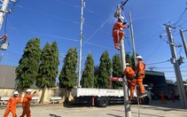 Công ty Điện lực Khánh Hòa huấn luyện định kỳ an toàn điện