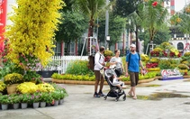 Sở Xây dựng TP.HCM: Tận dụng đất trống ở các phường làm tạm công viên, vườn hoa