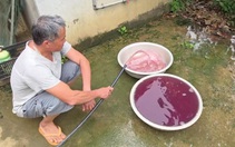 Vụ nước giếng đổi màu tím ở Thanh Hóa: Xử phạt doanh nghiệp hơn 1,5 tỉ đồng