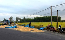 Đừng để 'cái sảy nảy cái ung'