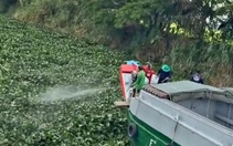 Xôn xao clip người dân phun thuốc diệt lục bình trên kênh