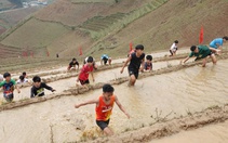 Giải chạy độc lạ nhất Việt Nam: Đua nhau leo ruộng bậc thang Mù Cang Chải