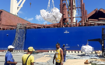 Tàu chở 15.000 tấn gạo viện trợ từ Trung Quốc cập cảng Cuba