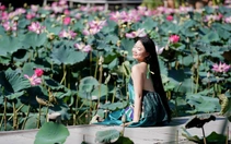 Du khách 'lên đồ' đổ về hồ sen Khánh Hòa săn ảnh đầu hè