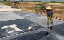 Nhọc nhằn nghề làm muối giữa trời nắng như đổ lửa