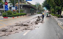Phạt nặng tài xế và chủ xe tải làm bùn đất rơi xuống mặt đường ở Hà Nội