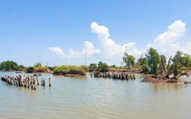 Vụ đê biển Tây bị sạt lở, bể đứt đoạn: Lãnh đạo tỉnh An Giang chỉ đạo khẩn trương khắc phục
