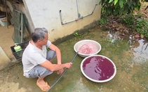 Vụ nước giếng đổi màu tím ở Thanh Hóa: Nhiều mẫu nước có chỉ tiêu không đạt
