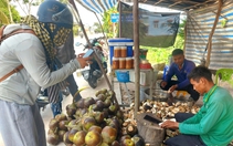 Du khách về phum sóc An Giang thưởng thức sản phẩm từ cây thốt nốt thơm ngọt, mát lành