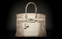 Túi Hermès da cá sấu bạch tạng: Biểu tượng xa xỉ được giới siêu giàu săn lùng
