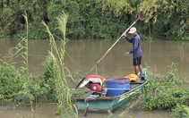 Ốc, vẹm, tôm, cua nhỏ, cá con, trứng cá đều bị diệt sạch với một phát bắn súng điện