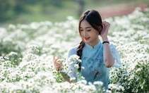 Bộ Nội vụ thông tin về đề xuất Thủ tướng quyết định tất cả ngày nghỉ lễ trong năm