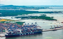 TP.HCM miễn 7.170 tỉ đồng phí hạ tầng cảng biển cho doanh nghiệp trong 3 năm
