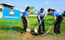 Củ Chi ra quân trồng 400 cây xanh, hưởng ứng phong trào 'Thành phố muôn sắc hoa'
