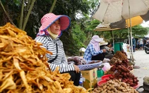 Độc đáo ‘chợ mây’ trên đỉnh núi Cấm