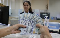 Lạm phát và nhập siêu thử sức doanh nghiệp: Ai có lợi thế chống chịu?