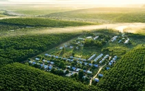 VRG bước vào chu kỳ tăng trưởng mới bằng đổi mới và phát triển xanh