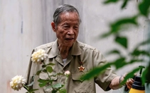 Thông tin lễ tang Đại tá La Văn Cầu, người Anh hùng chào điều lệnh bằng tay trái