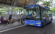 Cận cảnh dàn xe buýt tiện nghi, hiện đại trước ngày TP.HCM miễn phí vé cho người dân