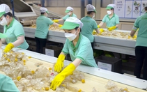 'Chiếc áo mới' của EPR