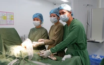 Sàng lọc miễn phí 9 bệnh trước sinh và sơ sinh