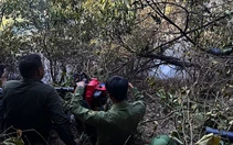Kiểm soát chặt người ra vào rừng trong đợt 'nắng nóng như đổ lửa'