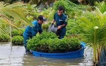 Sa Đéc mời chuyên gia tìm giải pháp chống ngập đô thị do mưa và triều cường