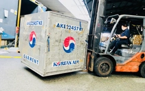 Chi phí logistics chờ cú hích từ sân bay Long Thành
