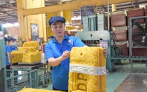 VRG: Bước chuyển mình sang hệ sinh thái kinh tế xanh