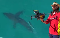 Australia mở rộng mạng lưới drone giám sát cá mập sau hàng loạt sự cố