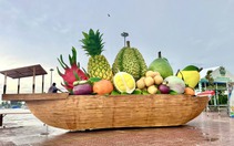 Về miền trái ngọt Đồng Tháp