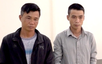 Rủ nhau sản xuất phân bón, thuốc bảo vệ thực vật giả