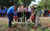 44 ngày đêm tuổi trẻ Đắk Lắk tiên phong chuyển đổi số