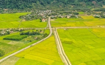 Cánh đồng của bà tôi và giấc mơ nông nghiệp không lãng phí