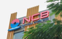 Lộ diện 22 nhà đầu tư nắm hơn 75% vốn điều lệ NCB