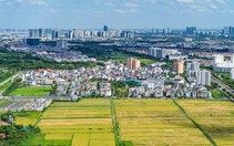 Bộ Nội vụ đề xuất chưa xem xét, miễn kỷ luật với một số vi phạm đất đai cũ