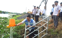 Rau màu, cây ăn trái tại Đồng Tháp chết bất thường