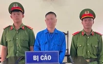 Rủ bạn trộm bò, lên núi trốn truy nã gần một năm vẫn không thoát án tù
