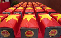 Ngày 14-7: Đào 50m³ đất, thấy thêm 5 bộ hài cốt tại công viên Lê Thị Riêng, sẽ mở rộng diện tích rãnh mộ